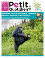 Le Petit Quotidien