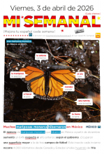 Mi Semanal
