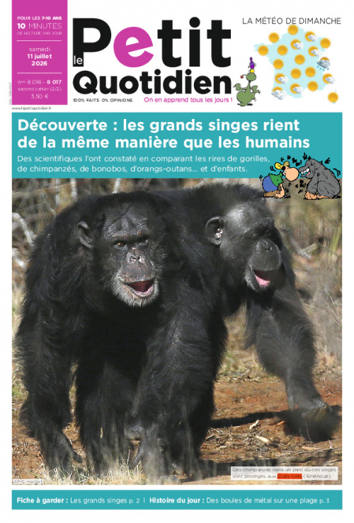 Journal