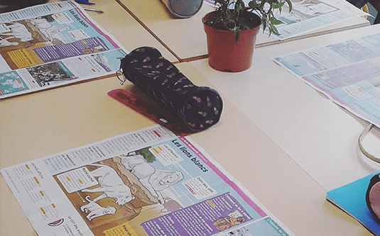 Classe de CE2 utilisant Le Petit Quotidien